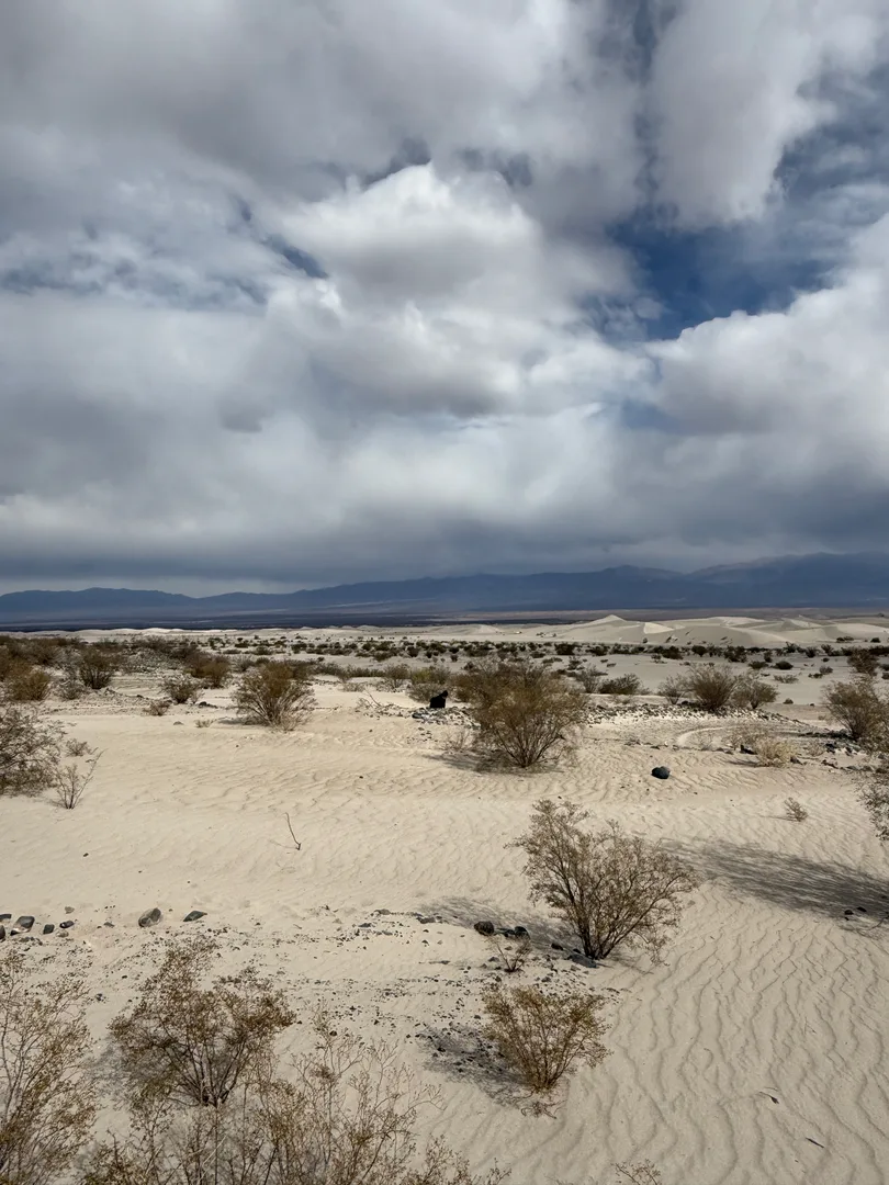 img-8072-jpeg